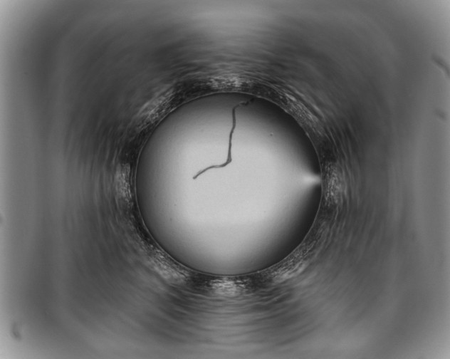 X0000097490616200802291434