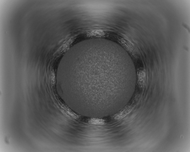 X0000097490617200802291434