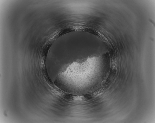 X0000097490618200802291434