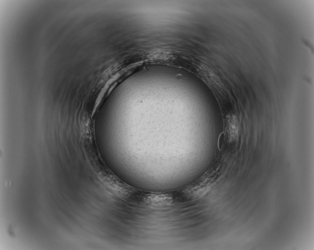 X0000097490619200802291434