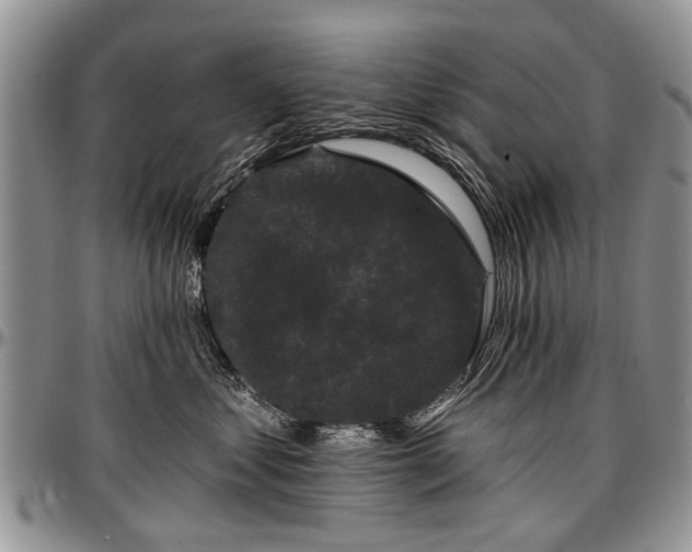 X0000097490621200802291434