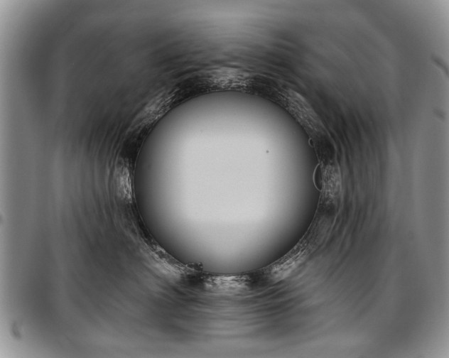 X0000097490622200802291434