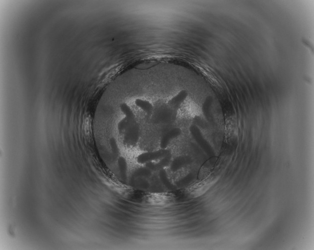 X0000097490623200802291434