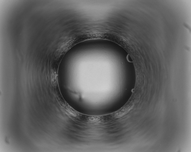 X0000097490624200802291434