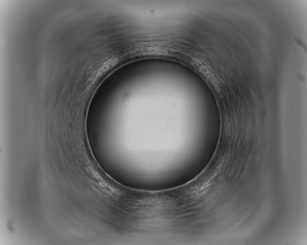 X0000097490625200802291433