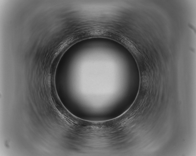 X0000097490626200802291433