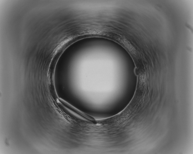 X0000097490628200802291433