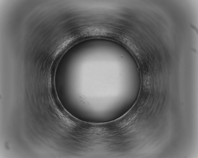 X0000097490629200802291433