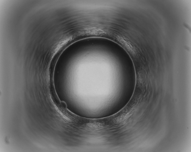 X0000097490630200802291433