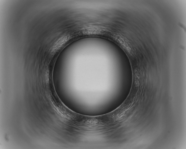 X0000097490631200802291433