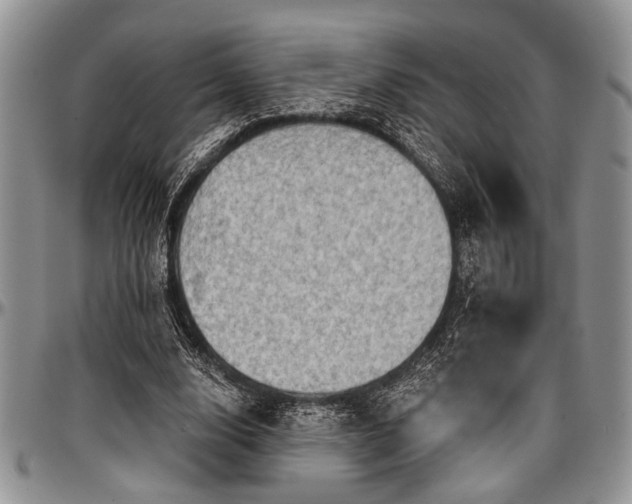 X0000097490632200802291433