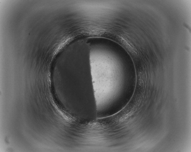 X0000097490634200802291433