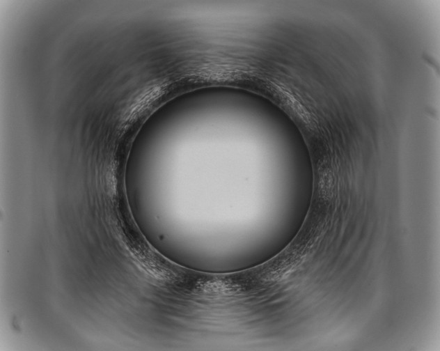 X0000097490635200802291433