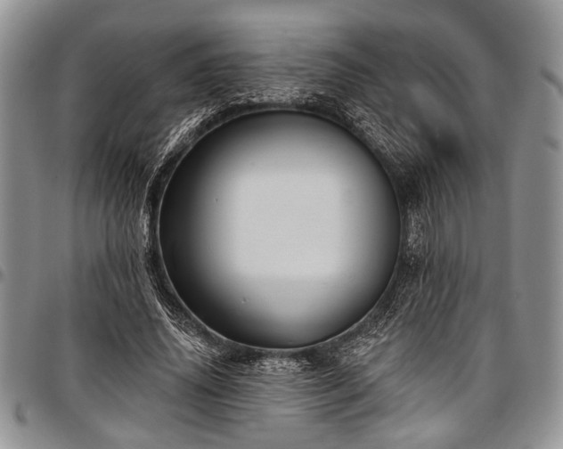 X0000097490636200802291433