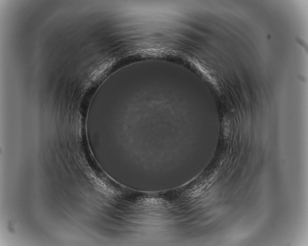 X0000097490637200802291433