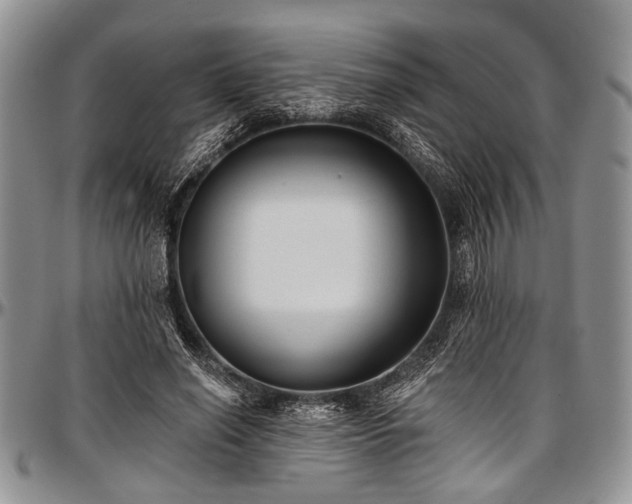 X0000097490638200802291433