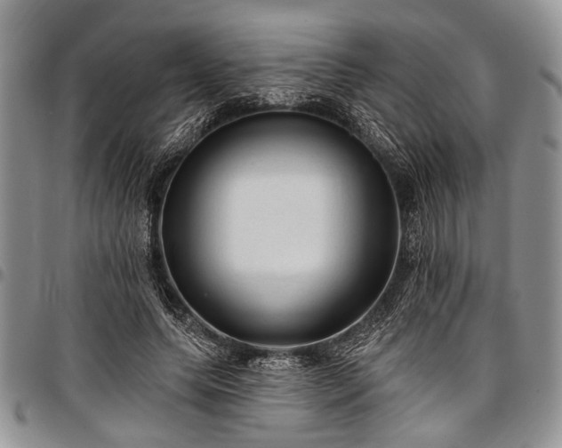 X0000097490639200802291433