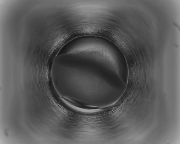 X0000097490640200802291433