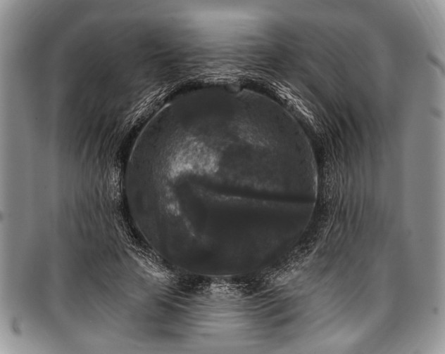 X0000097490641200802291433