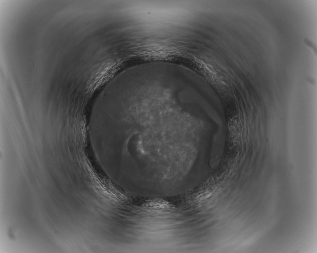 X0000097490642200802291433