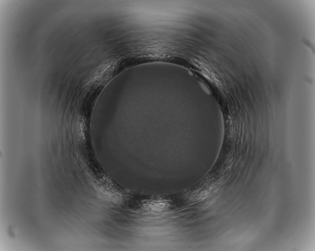 X0000097490643200802291433