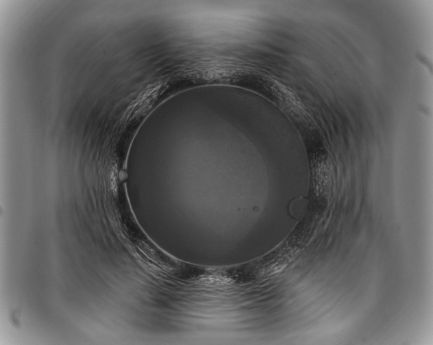 X0000097490644200802291433