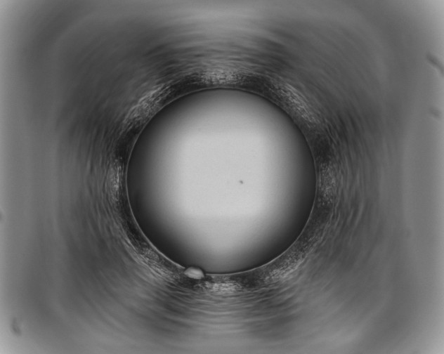 X0000097490645200802291433