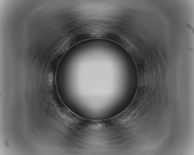 X0000097490646200802291433