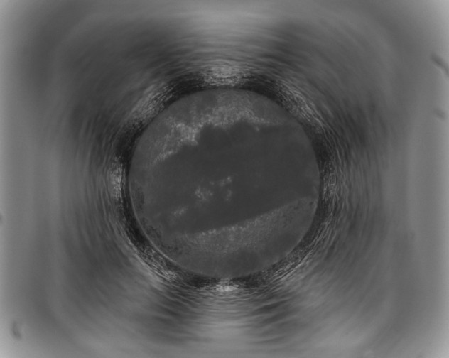 X0000097490647200802291433