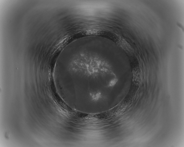 X0000097490648200802291433