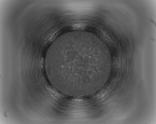 X0000097490649200802291433