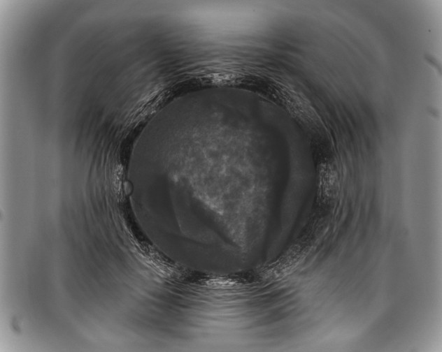 X0000097490650200802291433