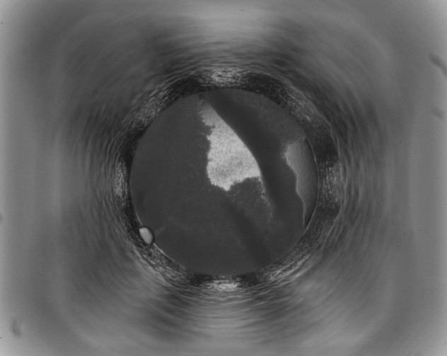 X0000097490651200802291433