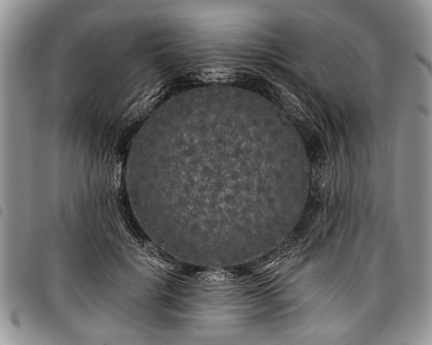 X0000097490652200802291433