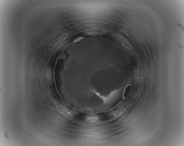 X0000097490653200802291433