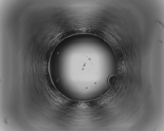 X0000097490656200802291433