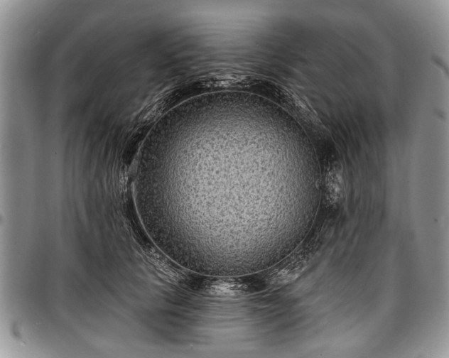 X0000097490657200802291433