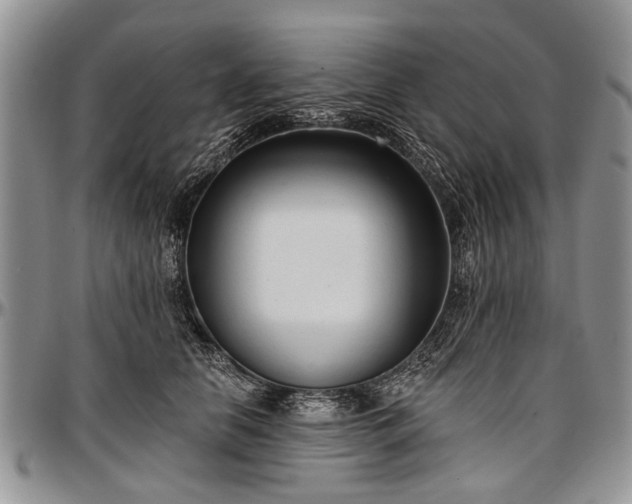 X0000097490658200802291433