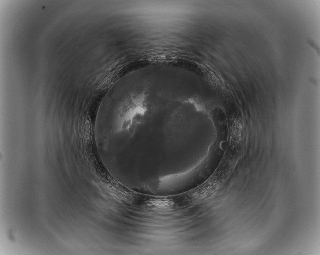 X0000097490659200802291433