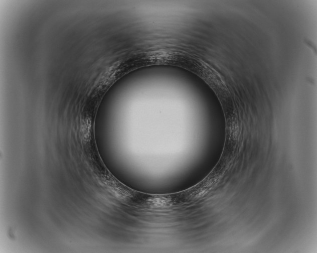 X0000097490660200802291433