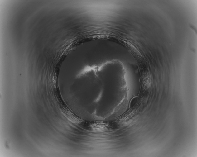 X0000097490661200802291433