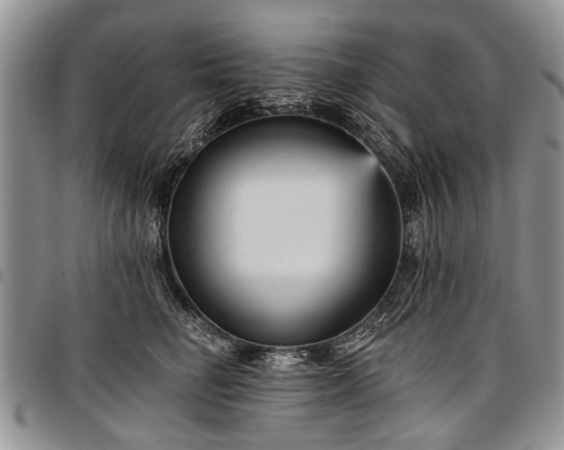 X0000097490662200802291433