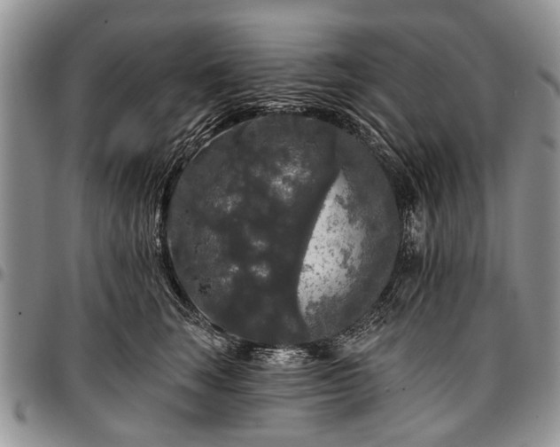 X0000097490663200802291433