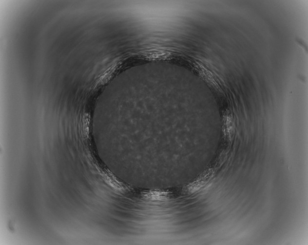 X0000097490664200802291433