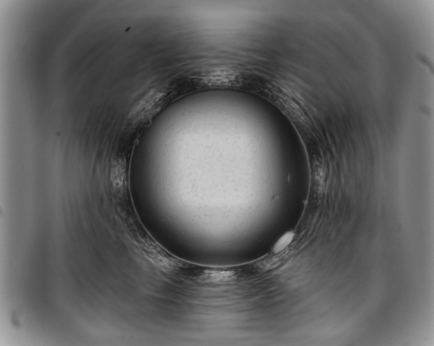 X0000097490665200802291434