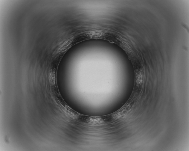 X0000097490666200802291434