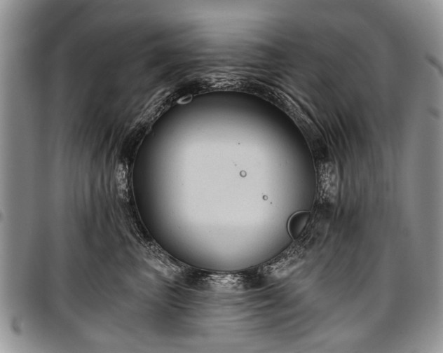 X0000097490667200802291434