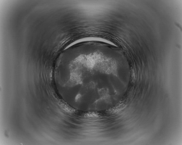 X0000097490668200802291434