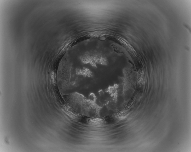 X0000097490669200802291434