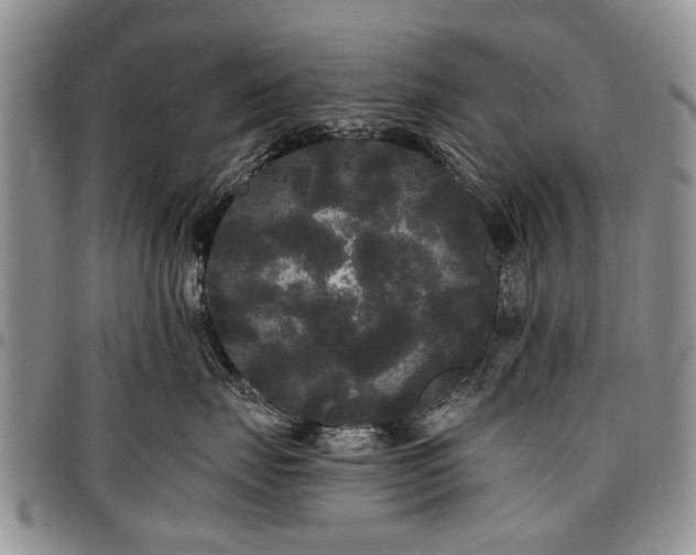 X0000097490671200802291434